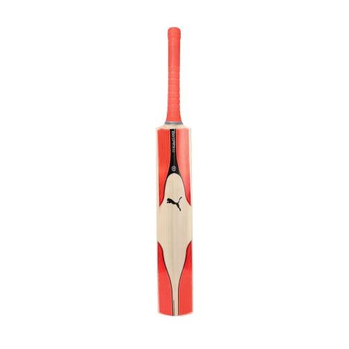 puma evospeed 6 english willow cricket bat